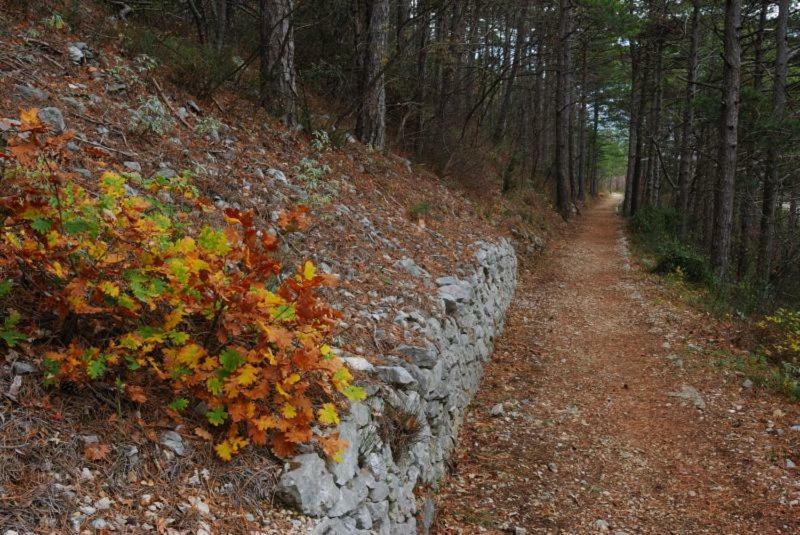 Marijan Apartments Crikvenica Dış mekan fotoğraf